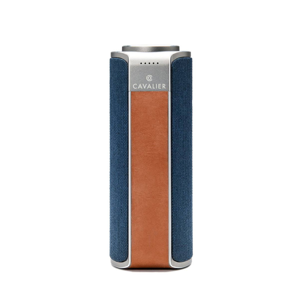 Blue Portable Smart Speaker D214