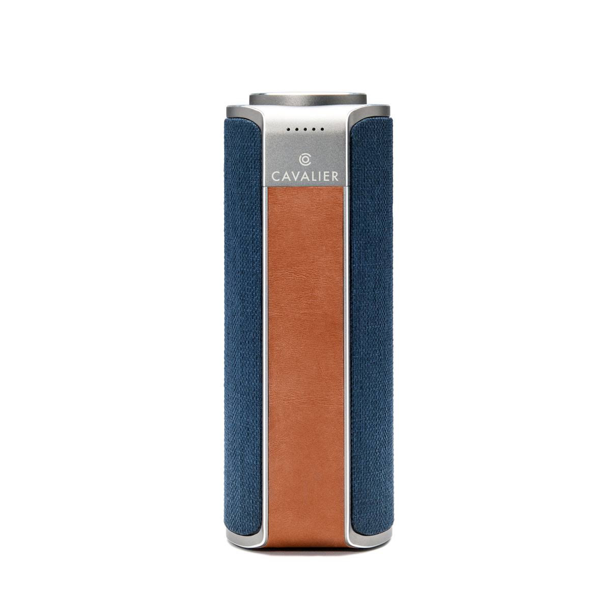 Blue Portable Smart Speaker D214