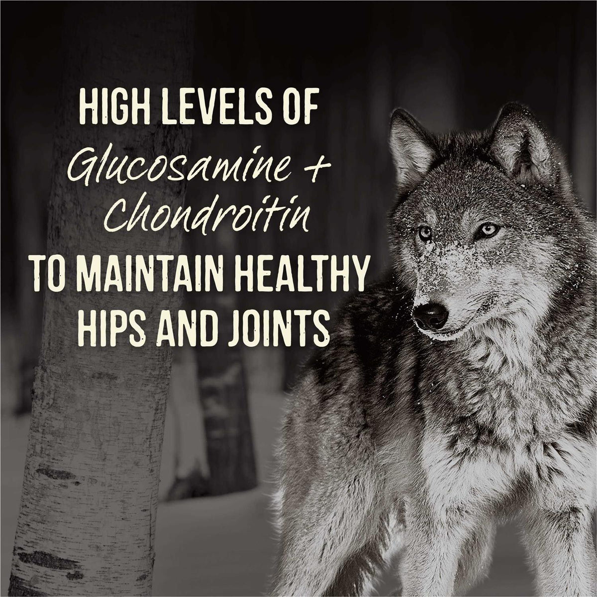 96% Real Beef Grain Free Canned Dog Food J5022