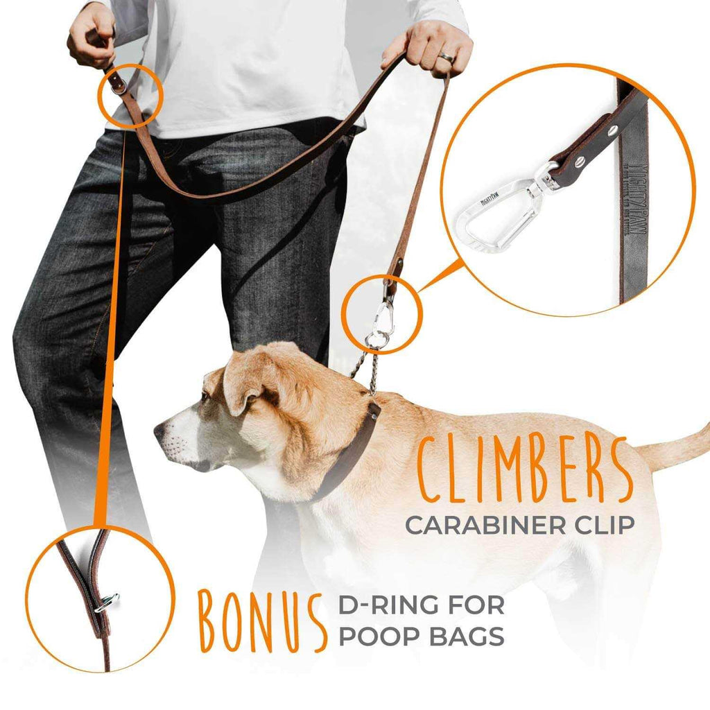 Leather Dog Leash Q7025