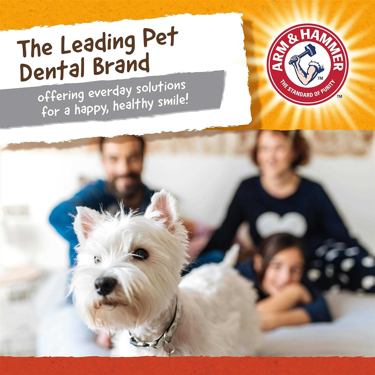 Gorilla Dental Dog Toy W69492
