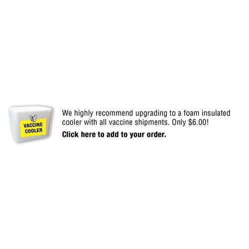 10 Plus Lyme Dog Vaccine 1 Dose U4875