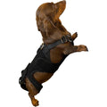Dog Back Brace Z8514