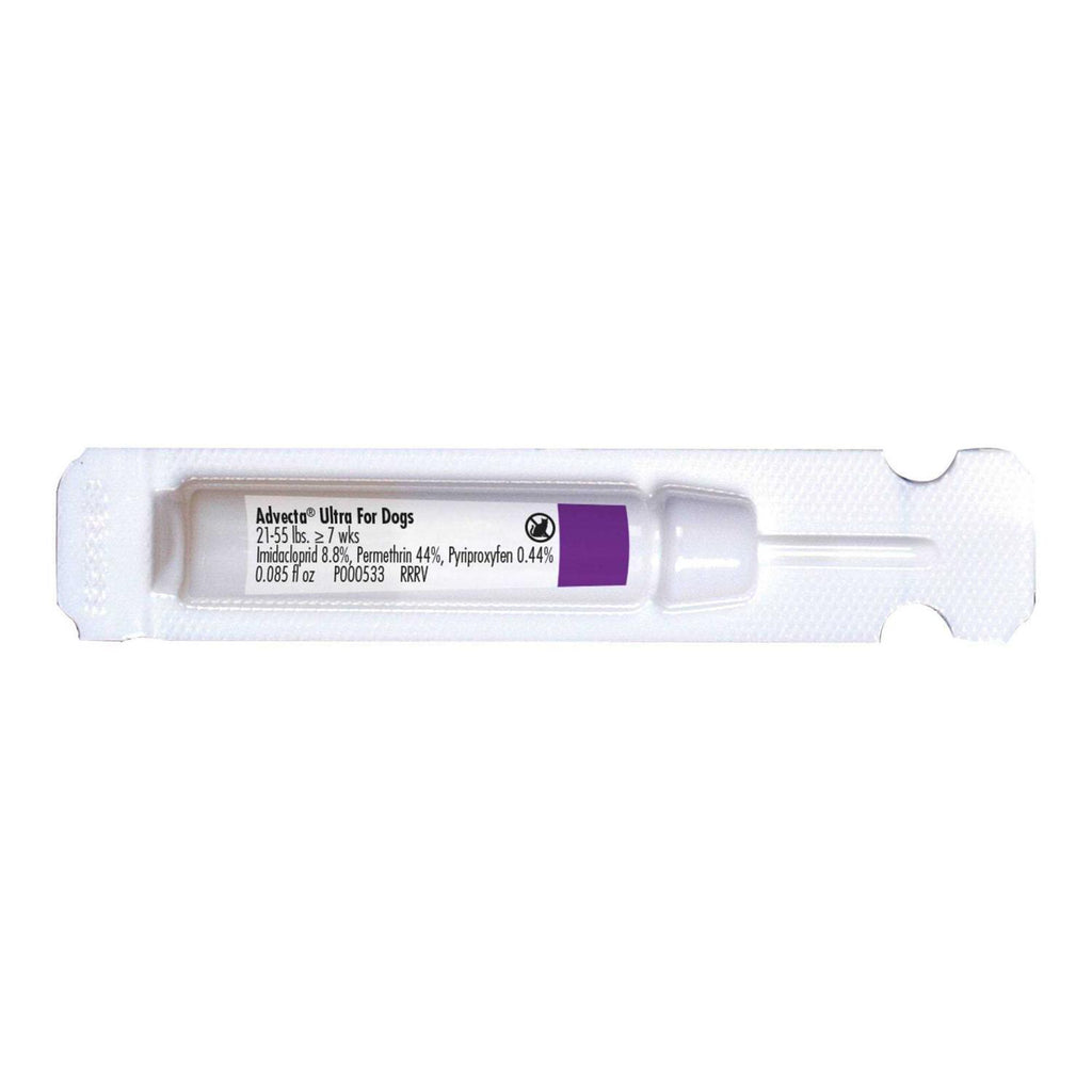 Topical Treatment for Dogs T572380
