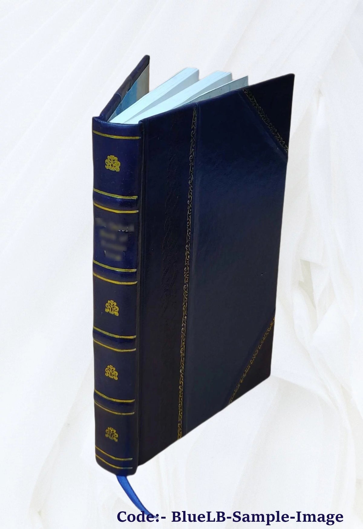 The old Oregon trail 1852-1906 Leather Bound H99238