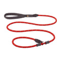 Leash Q72406