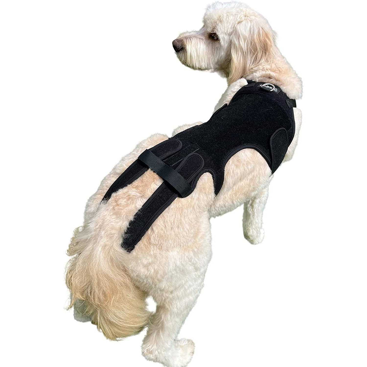 Dog Back Brace Z8514