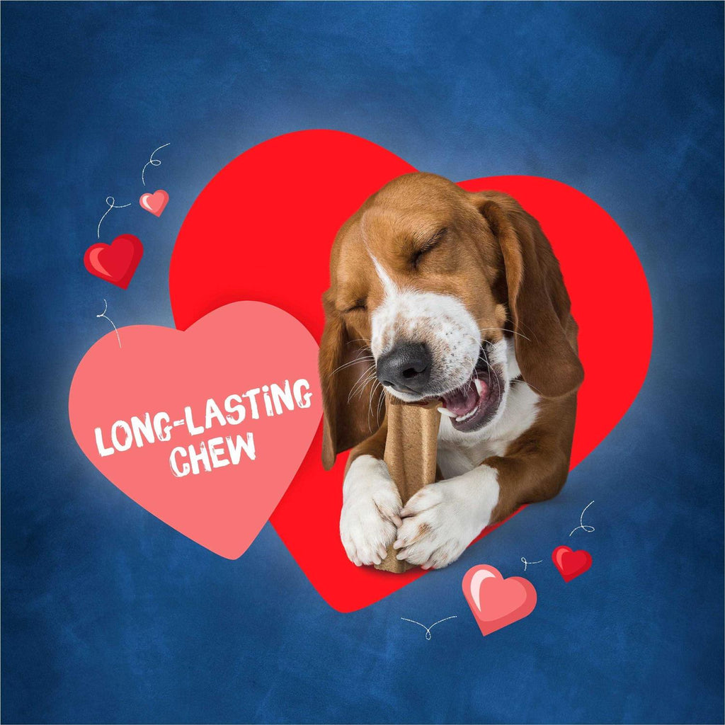 Dog C8936
