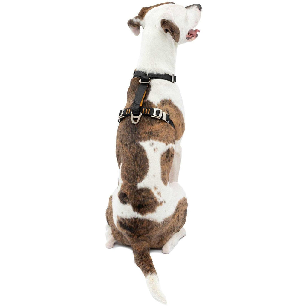 Dog Harness K36257