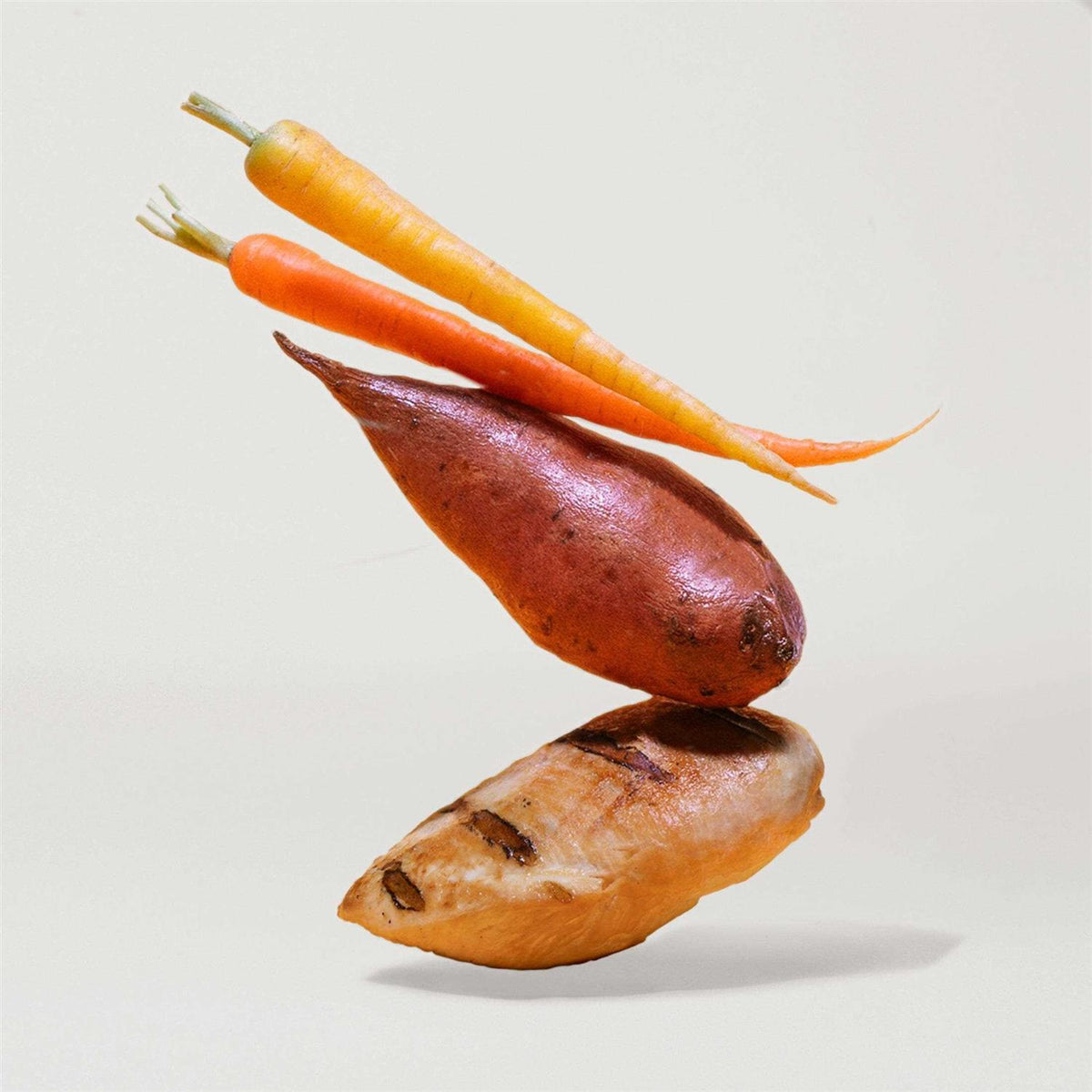 Chicken Sweet Potato & Carrot Dry Dog Food J634446
