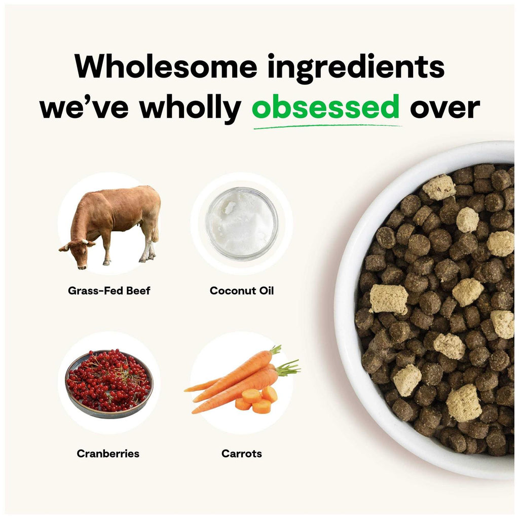 Grain Free Dog Food T712461