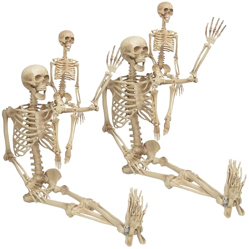 Life Size Posable Skeleton 2 Pack Z9922