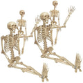 Life Size Posable Skeleton 2 Pack Z9922