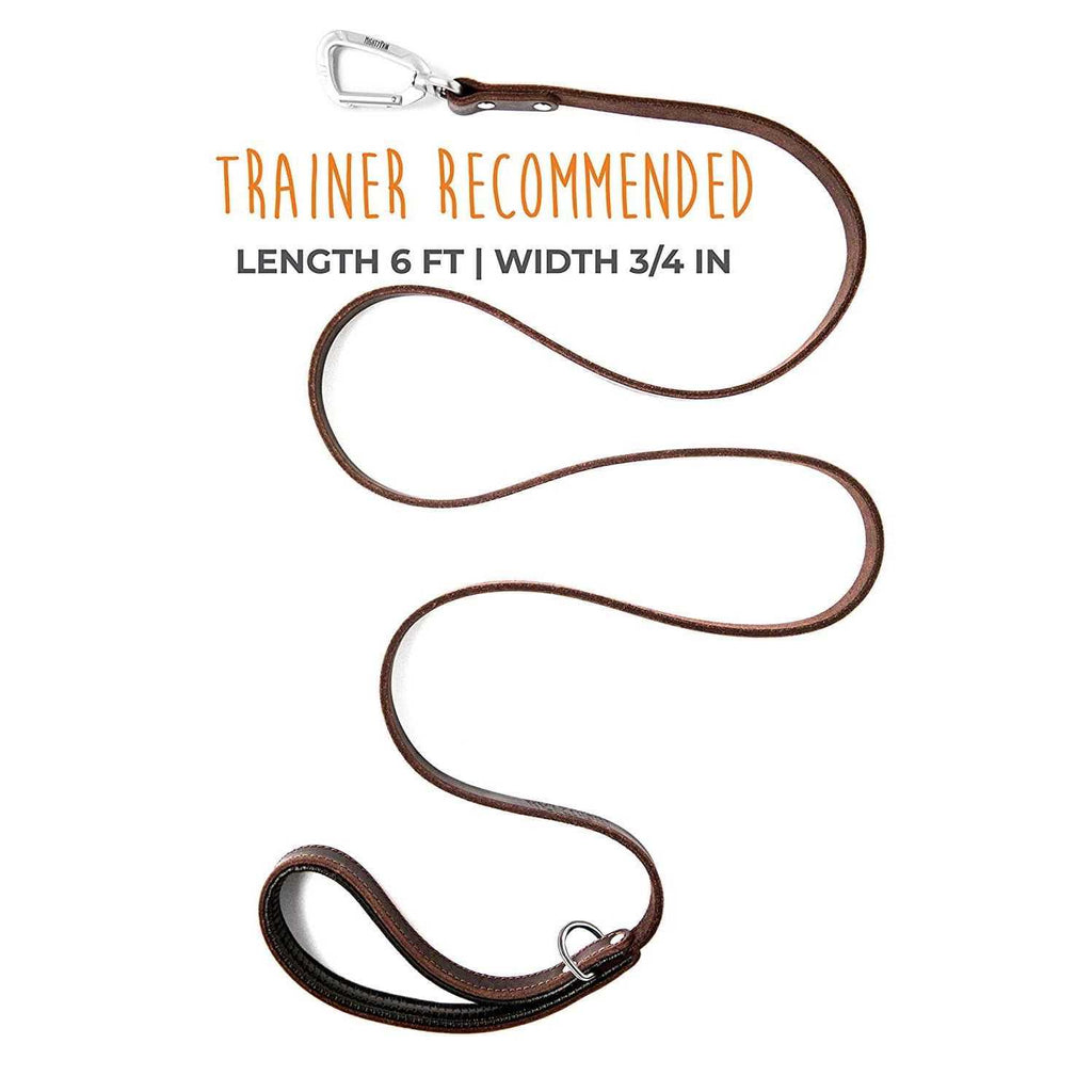 Leather Dog Leash Q7025
