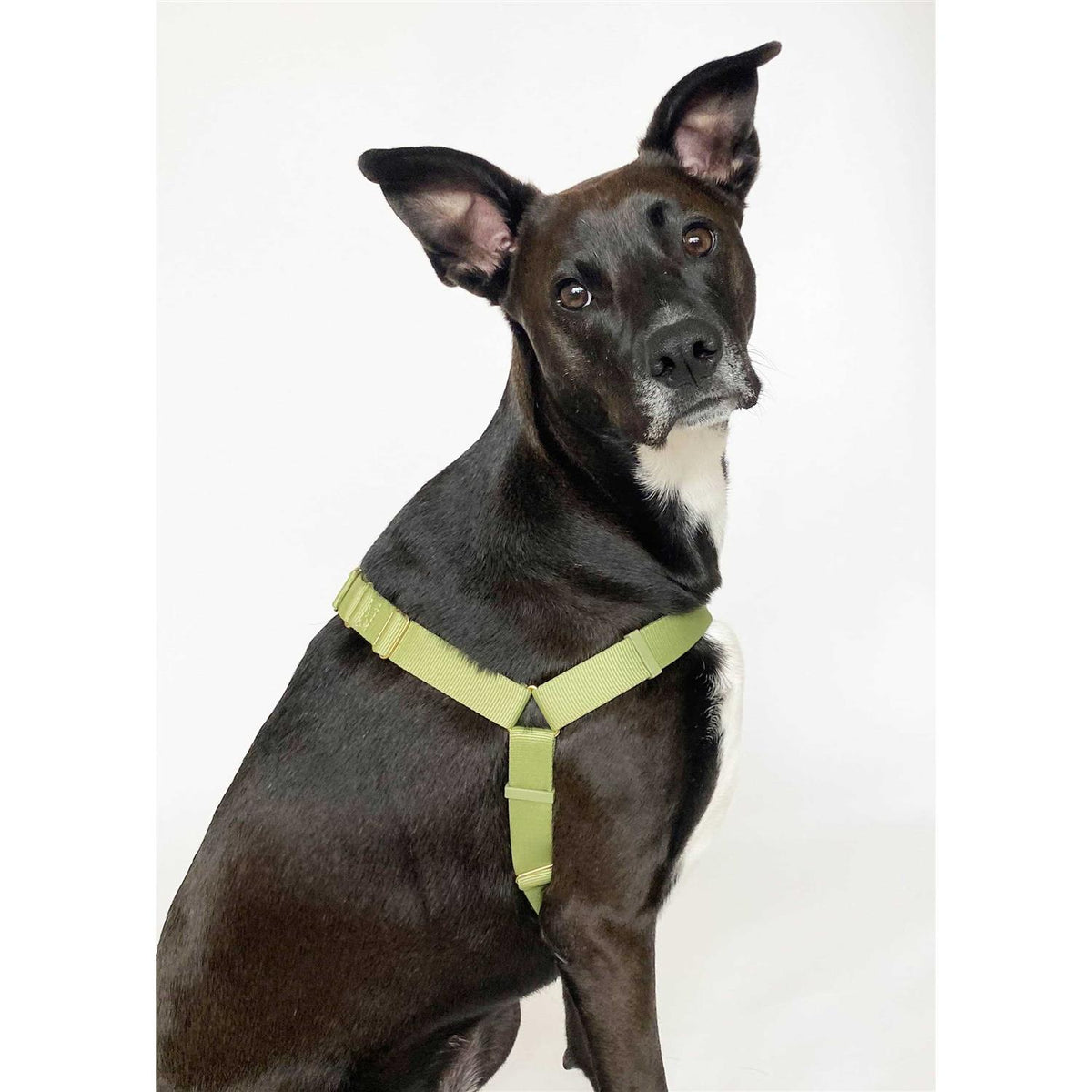 Harness S9018
