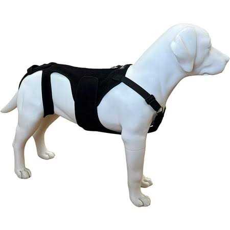 Dog Back Brace Z8514