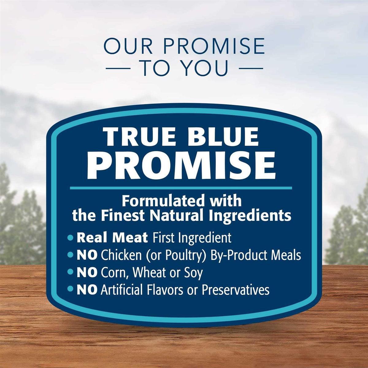 Blue Wilderness Indoor Hairball Control Cat Dry Food R897