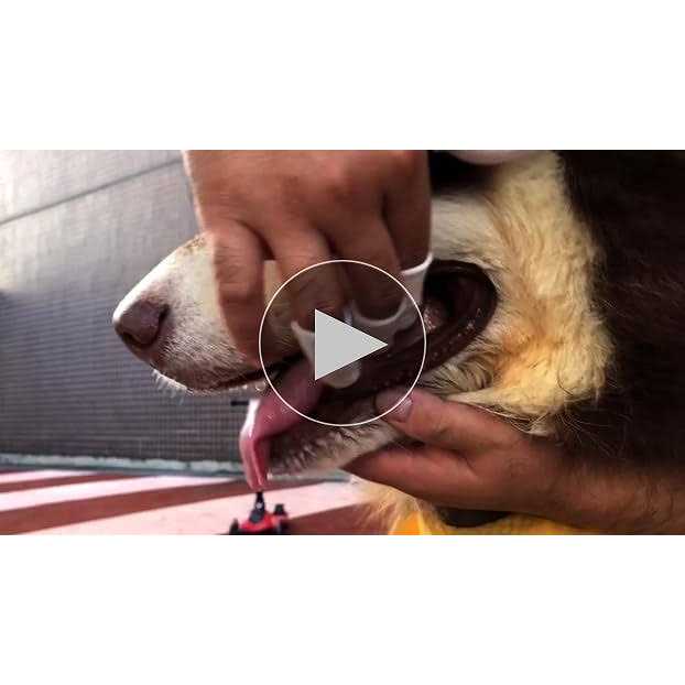 Dog Cat Finger Toothbrush W471