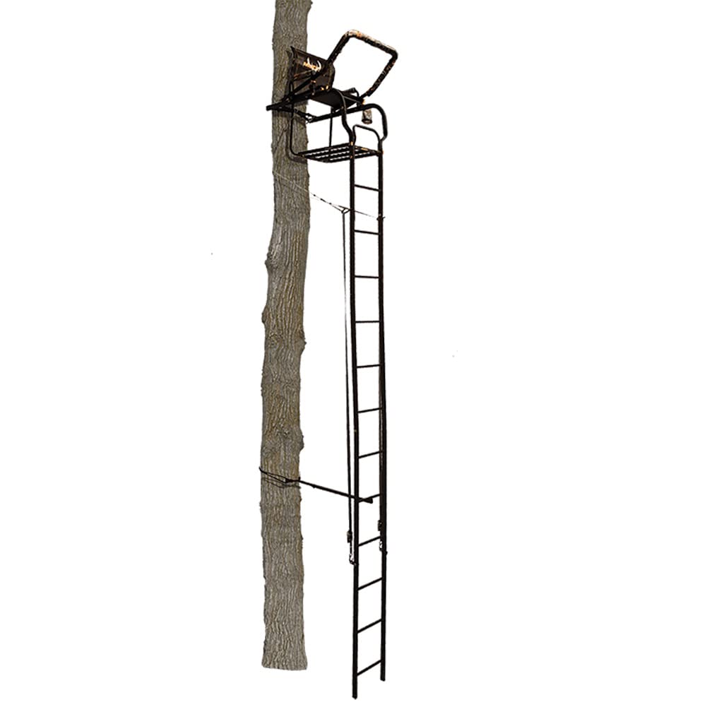 Home Goods P57148
