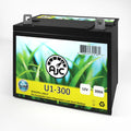 Lawn Mower and Tractor Battery X9545