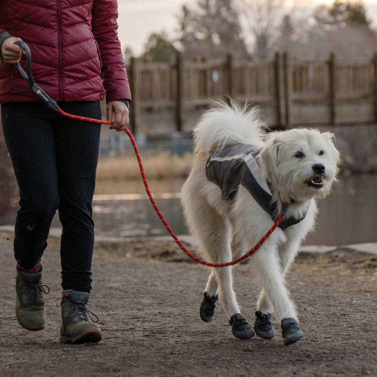 Leash Q72406
