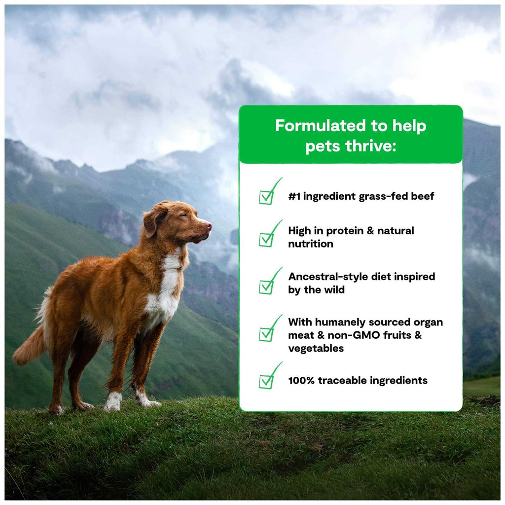 Grain Free Dog Food T712461