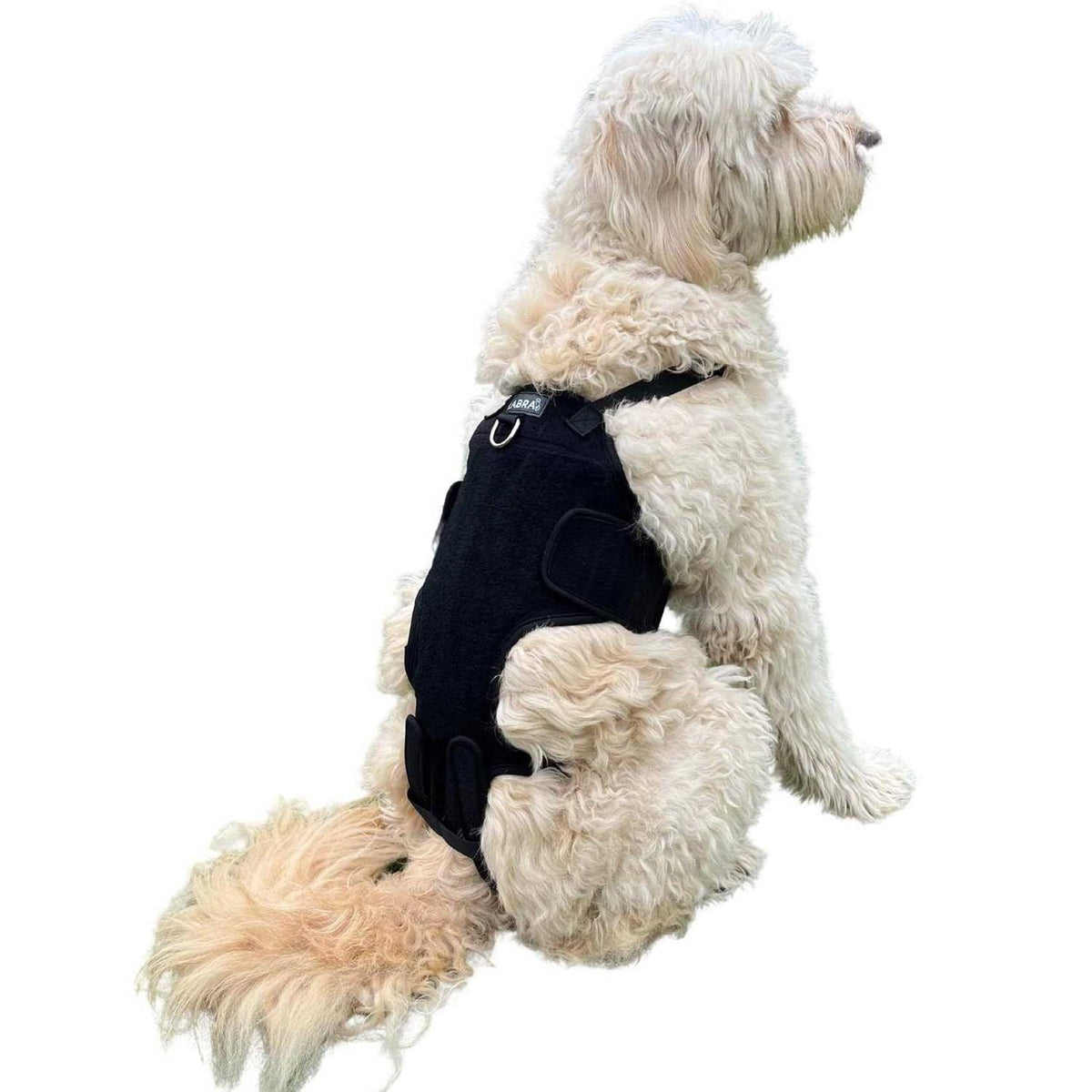 Dog Back Brace Z8514