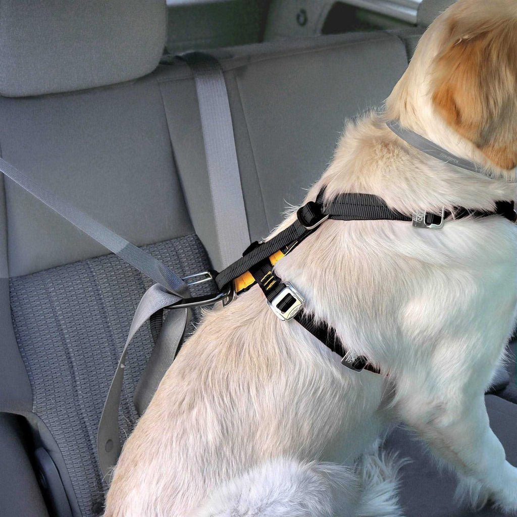 Dog Harness K36257
