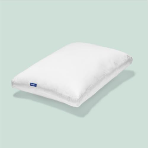 White Standard Pillow B9700