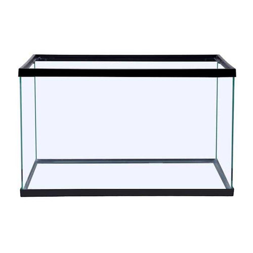10 Gallons Glass Aquarium P179