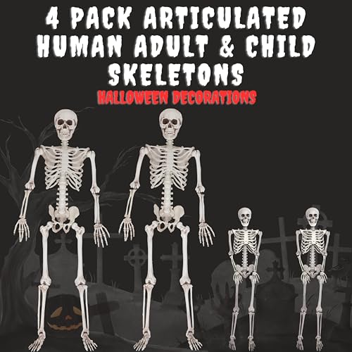 Life Size Posable Skeleton 2 Pack Z9922