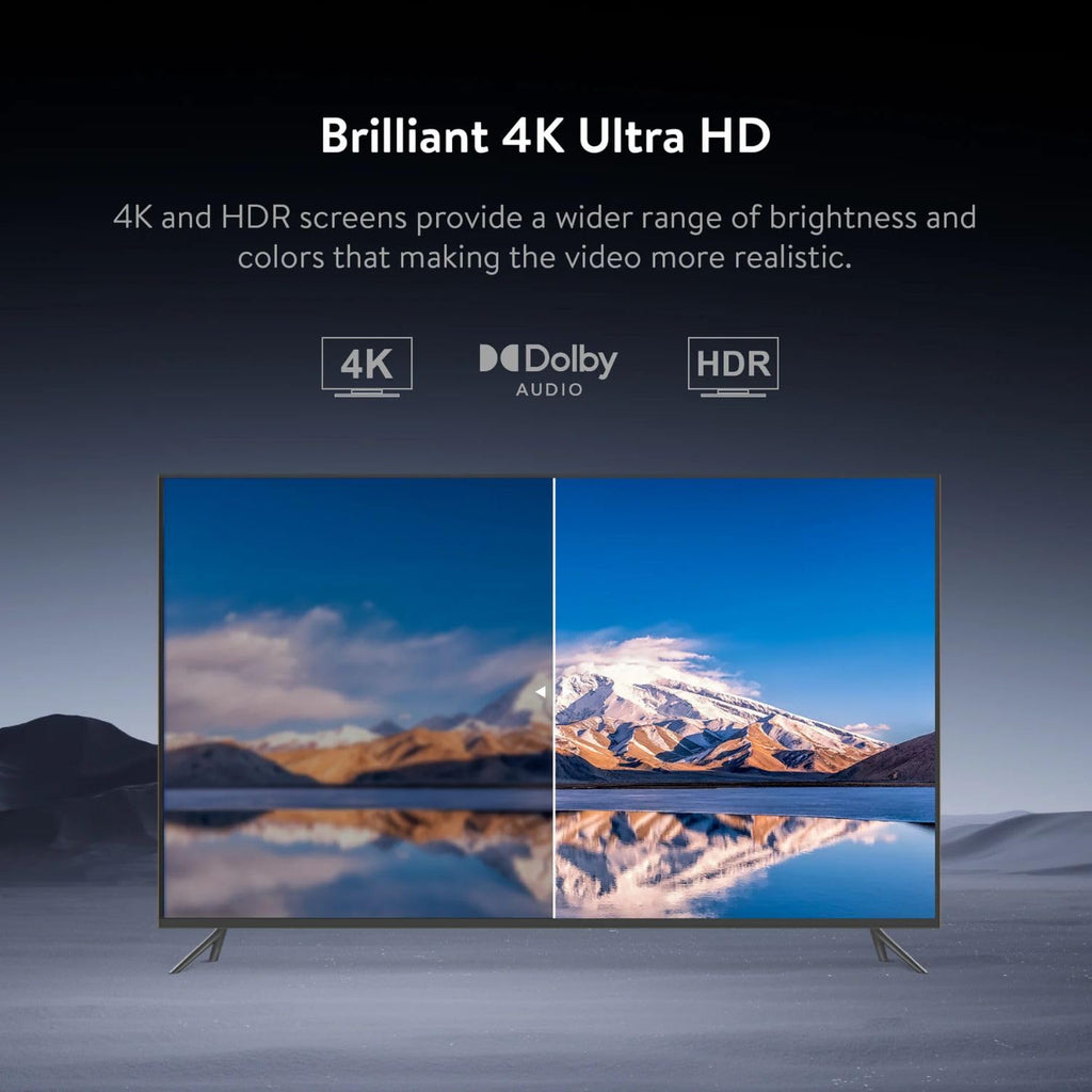 4K Streaming Device with Google TV F31766
