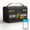 12V 100Ah LiFePO4 Lithium Battery Group 31 with 100A BMS Y744