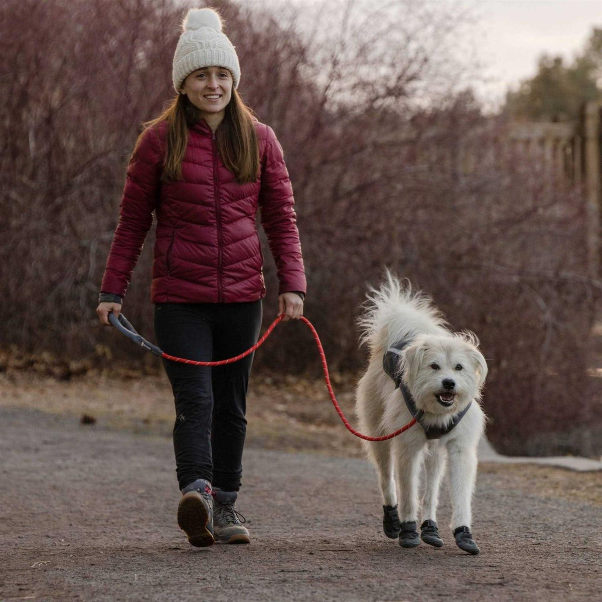 Leash Q72406