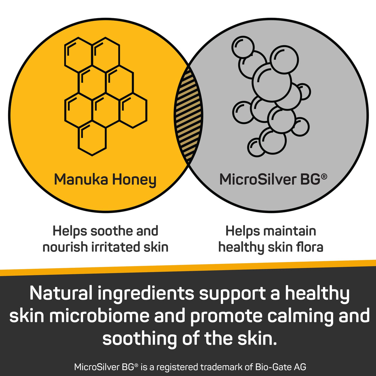 Silver Honey Skin & Coat Care Grooming 2pc Combo G739145