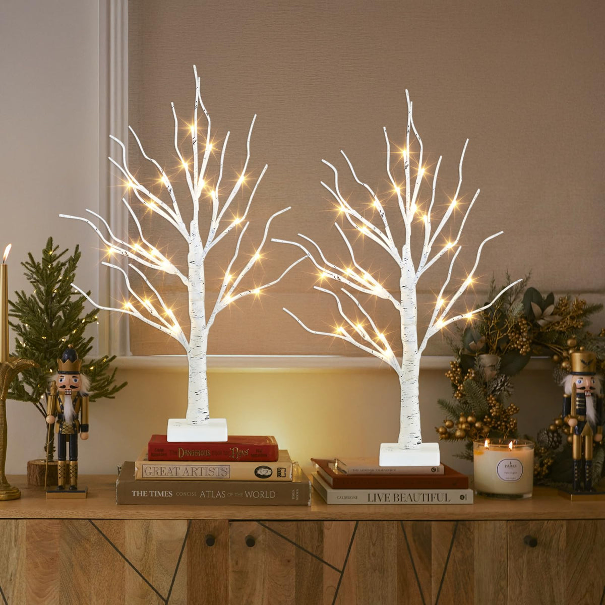2FT Birch Tree with LED Lights J498