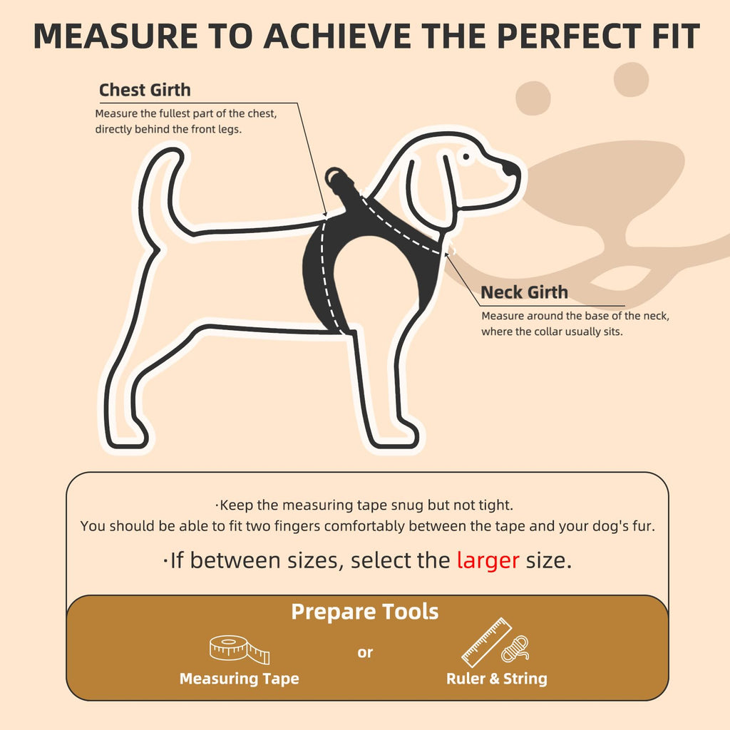 Dog Harness, Collar and Leash Set P124191
