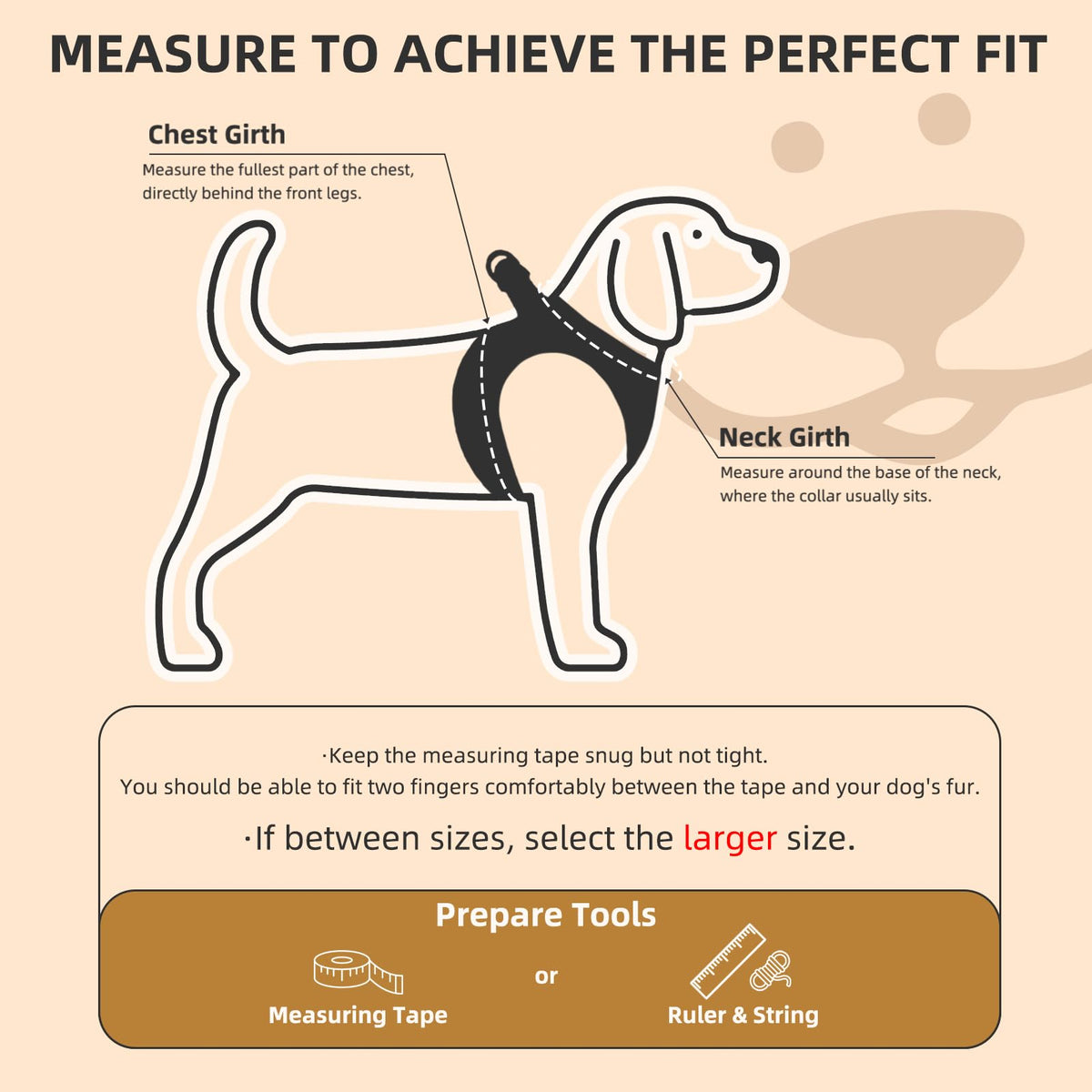 Dog Harness, Collar and Leash Set P124191