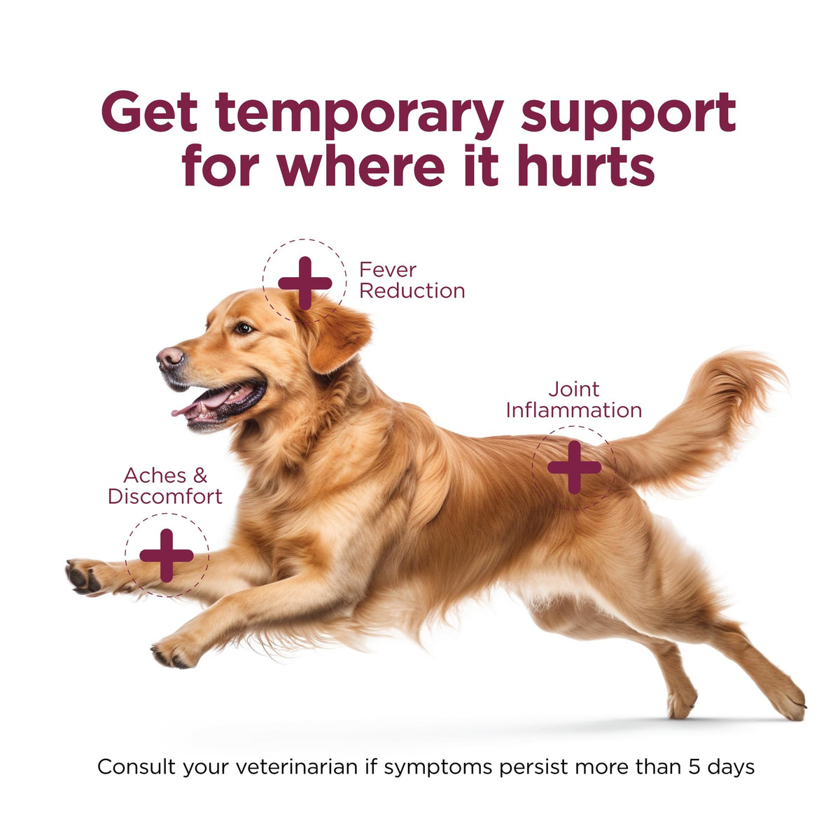 Canine Aspirin 120 ct V240113