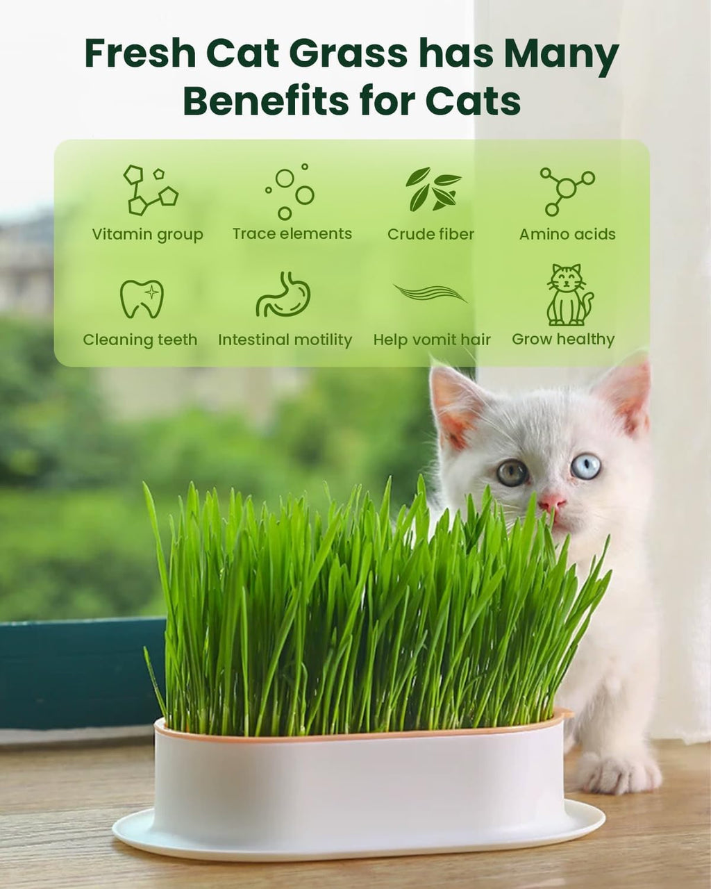 Cat Grass Growing Kit with Wheat Seeds, BPA-Free Planter & Soil, 3 Pack Z433