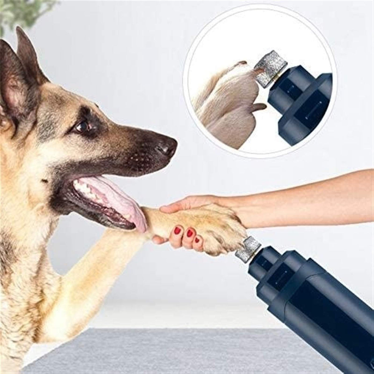 Electric Rechargeable Low Noise Pet Nail Grinder N985458