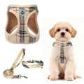 Dog Harness, Collar and Leash Set P124191