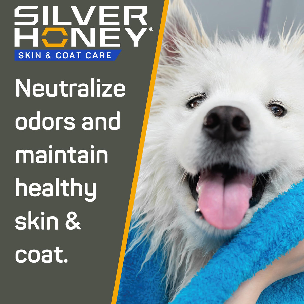 Silver Honey Skin & Coat Care Grooming 2pc Combo G739145
