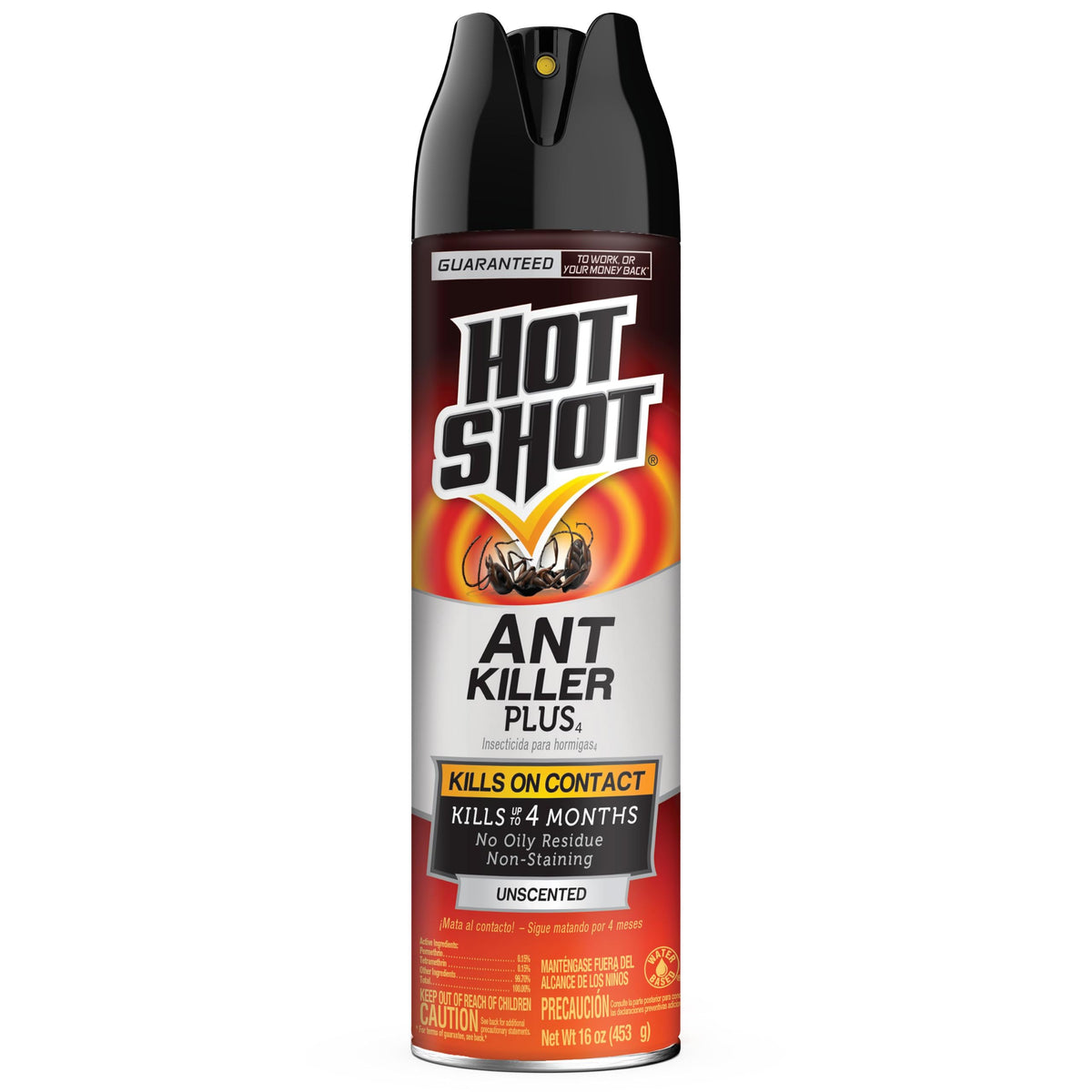 Ant Killer Plus Aerosol 16 Oz Unscented K880194