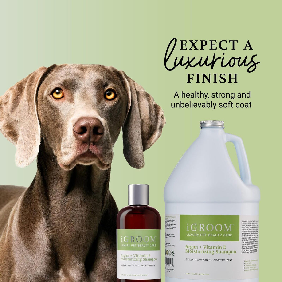 Argan Vitamin E Dog Shampoo Gallon S1708