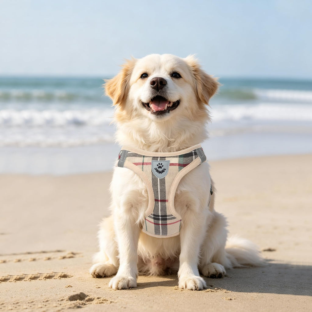 Dog Harness, Collar and Leash Set P124191