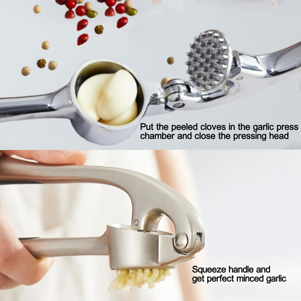 Stainless Steel 2 in 1 Garlic Press and Herb Scissors Y586