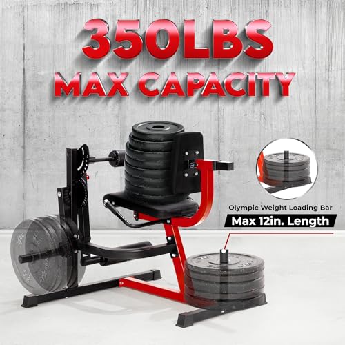 Adjustable Leg Extension and Curl Machine with Plate Loaded F895