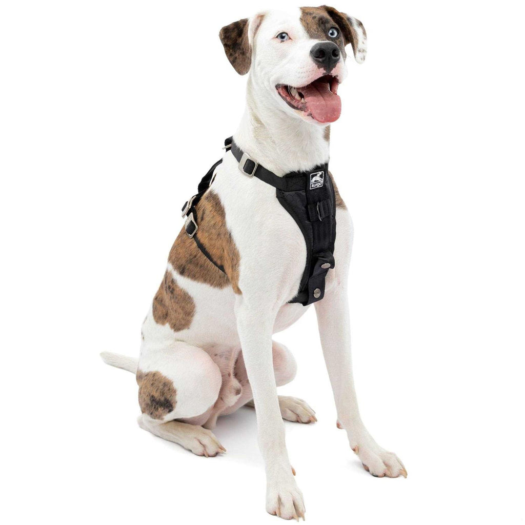 Dog Harness K36257