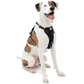 Dog Harness K36257